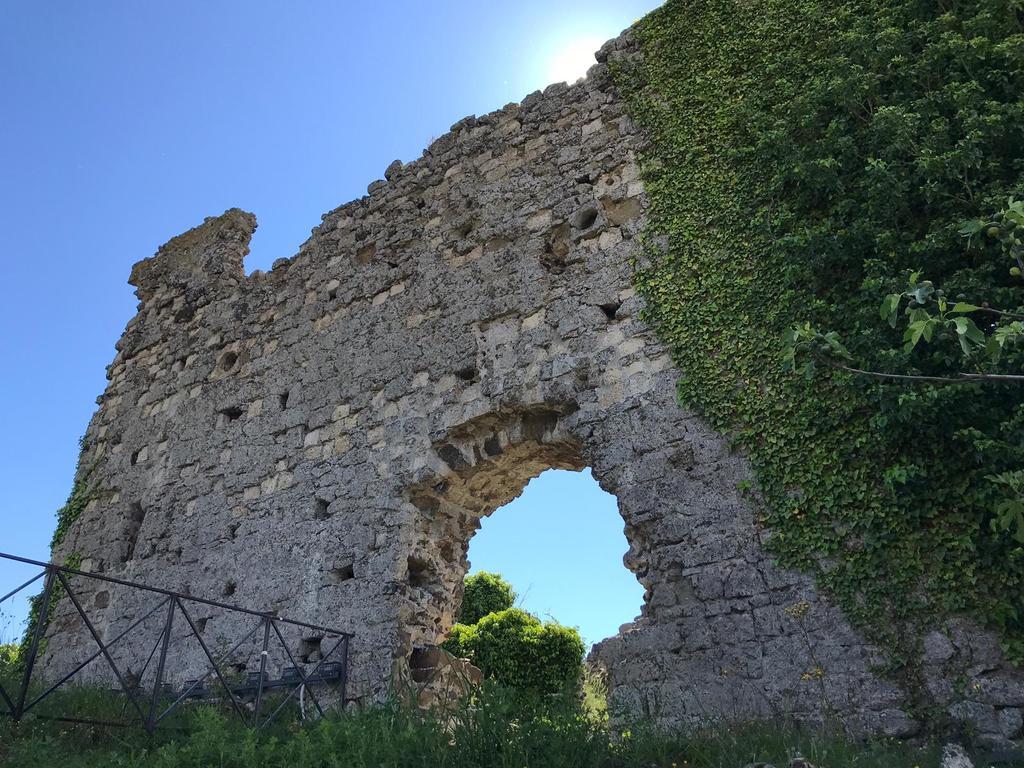 B&B Vigna Rosa Trevignano Romano Dış mekan fotoğraf
